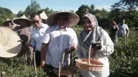 Sekda Aceh Besar Panen Raya Program Ketahanan Pangan Rutan Kelas IIB Kota Jantho